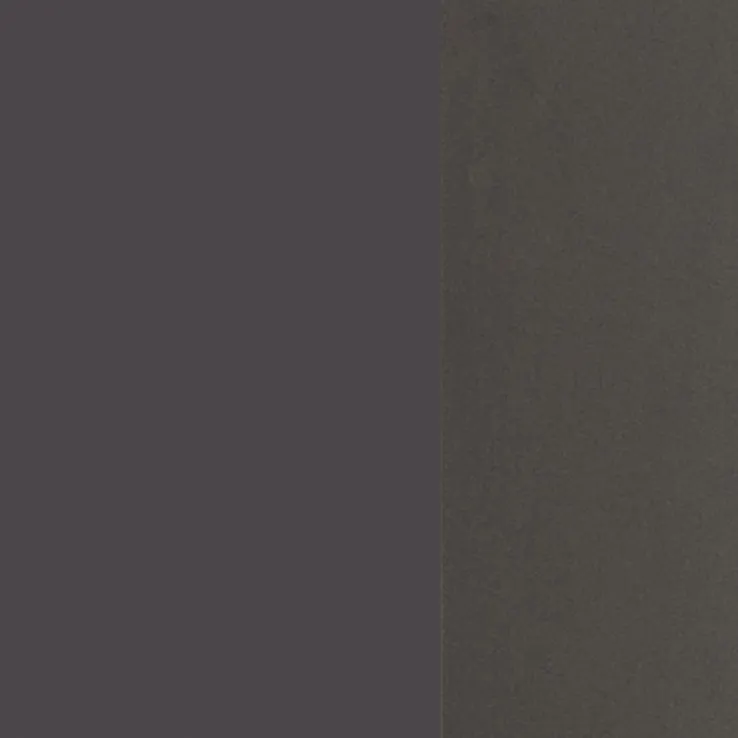 Bad-Spiegelschrank BRÜGGE grau 100cm