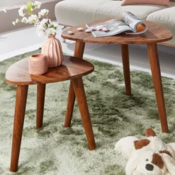 Beistelltisch 2er-Set braun