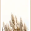 BÖNNINGHOFF Bild mit Rahmen PAMPASGRAS I 50 x 70 cm