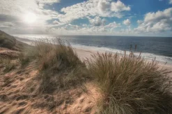 BÖNNINGHOFF Kunstdruck auf Keilrahmen DÜNE 118x78cm