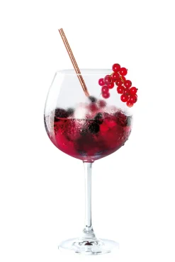 BOHEMIA SELECTION Gläser-Set GIN 6er Set - je 680 ml