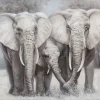 casaNOVA Wandgemälde Bild ELEFANTEN I 120 x 90 cm Leinwand/Holzrahmen