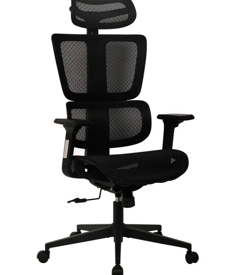 Chefsessel 64 x 117 x 65 cm schwarz