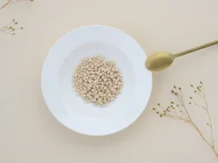 CreaTable Suppenteller FLEUR ROYAL 6er Set creme weiß