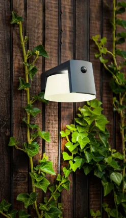 ECO-LIGHT LED Solar Außenwandleuchte MOON B anthrazit