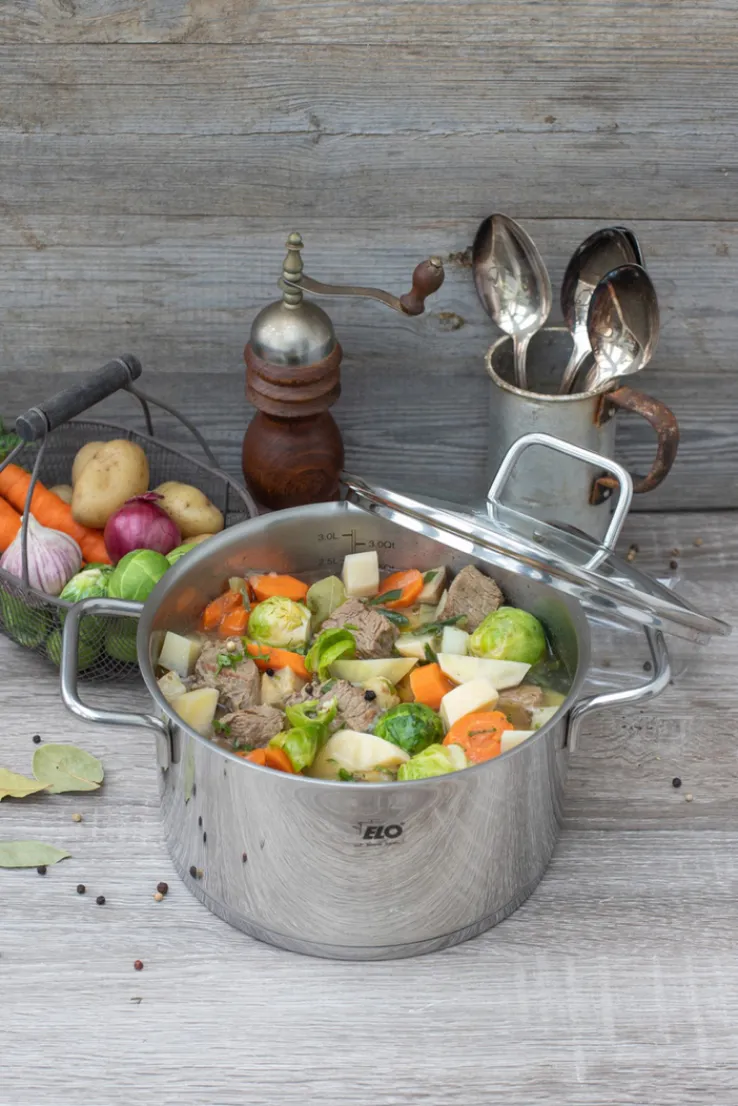 ELO mit Freude kochen! ELO Kochtopf mit Glasdeckel CITRIN 20 cm Edelstahl silber