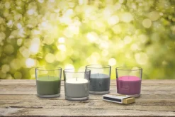 ENGELS KERZEN Outdoor Windlicht WILMA Eisrose