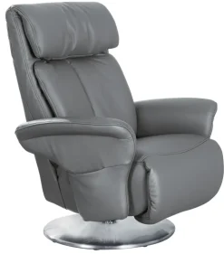 Fernsehsessel FALKENSTEIN Lederbezug Canyon