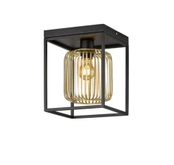 FISCHER & HONSEL Retrofit Deckenlampe CAYDO schwarz /goldfarbig