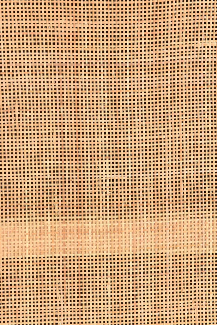 Garderobenschrank 80 x 180 cm Mango lackiert mit Rattan-Front