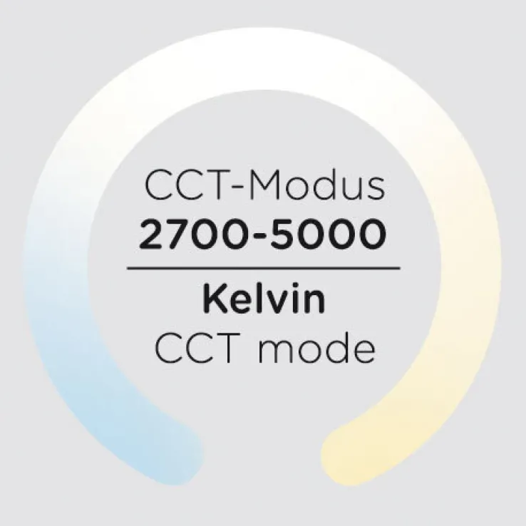 JUST LIGHT LED Deckenlampe ANIKA 50 cm anthrazit