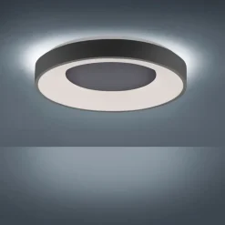 JUST LIGHT LED Deckenlampe ANIKA 50 cm anthrazit