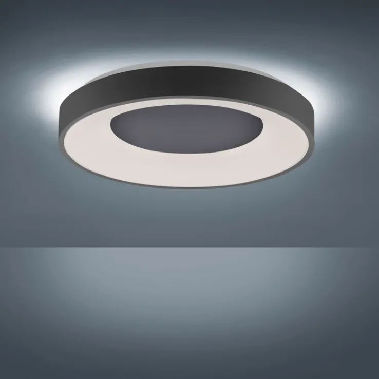 JUST LIGHT LED Deckenlampe ANIKA 50 cm anthrazit