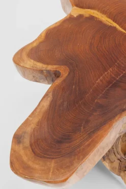 KARE DESIGN Beistelltisch TREE 40 x 40 cm Teak Massivholz