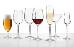 LEONARDO Bierglas DAILY