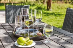 LEONARDO Bordeauxglas DAILY