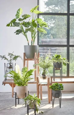 MICA DECORATIONS Blumentopfständer ASCOT 16 x 16 cm schwarz