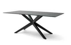 Musterring Esstisch TIAMA 200 x 100 cm Eiche massiv schwarz lackiert transparent