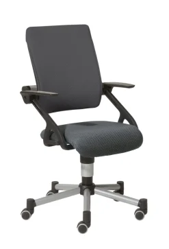 PAIDI Drehstuhl TIO SITNESS grau/ silbergrau