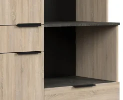 Parisot Buffet-Schrank Fumay 100 x 186 cm Eiche Dekor/ schwarz