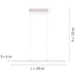 Paul Neuhaus LED Balkenpendel PURE-LITE 100 cm stahlfarbig