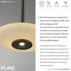 Paul Neuhaus LED Balkenpendel PURE VITRUM 3-flg braun