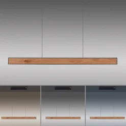 Paul Neuhaus LED Balkenpendel PURE E-MOTION 2-flg schwarz