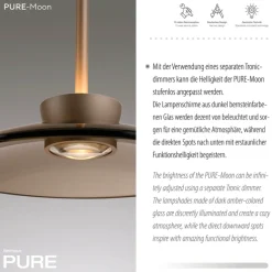 Paul Neuhaus LED Balkenpendel PURE MOON 3-flg bronze