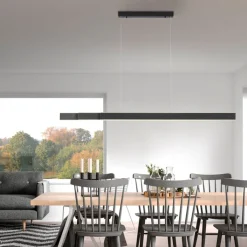 Paul Neuhaus LED Balkenpendel PURE-LUME anthrazit