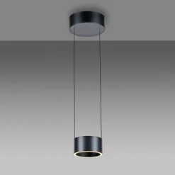 Paul Neuhaus LED Pendelleuchte PURE CLIPSE Aluminium Ø 20 cm Platin