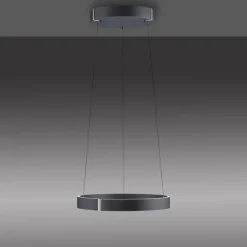 Paul Neuhaus LED Pendelleuchte PURE E-CLIPSE 50 cm grau