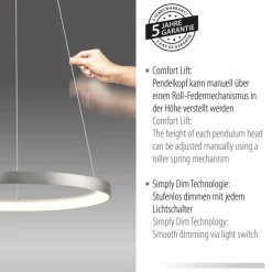 Paul Neuhaus LED Pendelleuchte HOOP 57 cm alu-/nickelfarbig