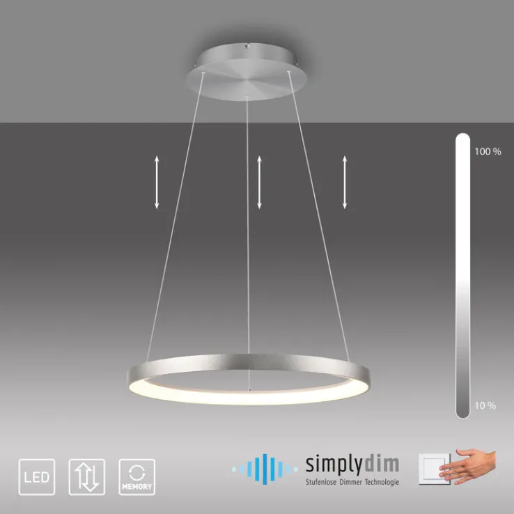 Paul Neuhaus LED Pendelleuchte HOOP 57 cm alu-/nickelfarbig