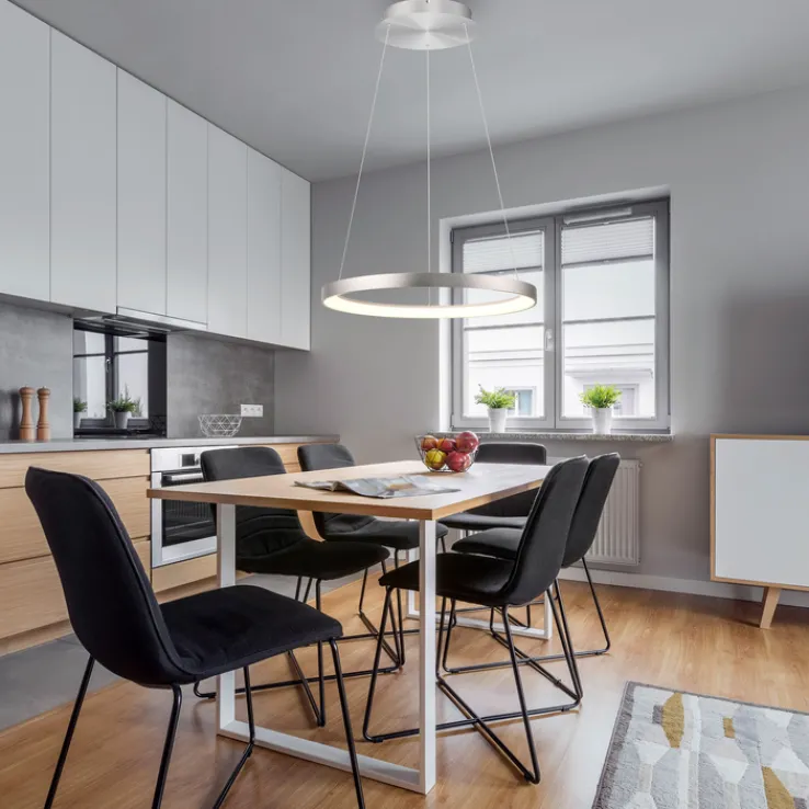 Paul Neuhaus LED Pendelleuchte HOOP 57 cm alu-/nickelfarbig