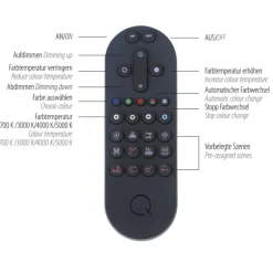 Paul Neuhaus LED Pendelleuchte Q-BELUGA Messing/ Schwarz matt