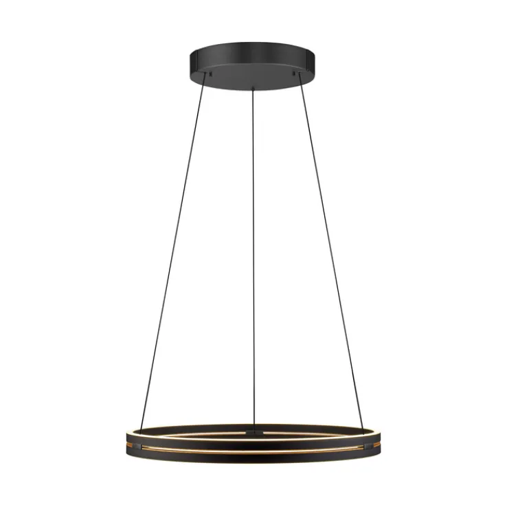 Paul Neuhaus LED Pendelleuchte PURE E-LOOP 70 cm schwarz