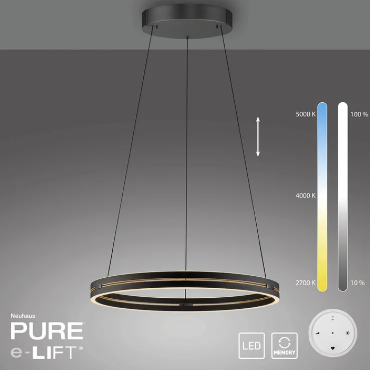 Paul Neuhaus LED Pendelleuchte PURE E-LOOP 70 cm schwarz