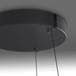 Paul Neuhaus LED Pendelleuchte PURE E-LOOP 70 cm schwarz