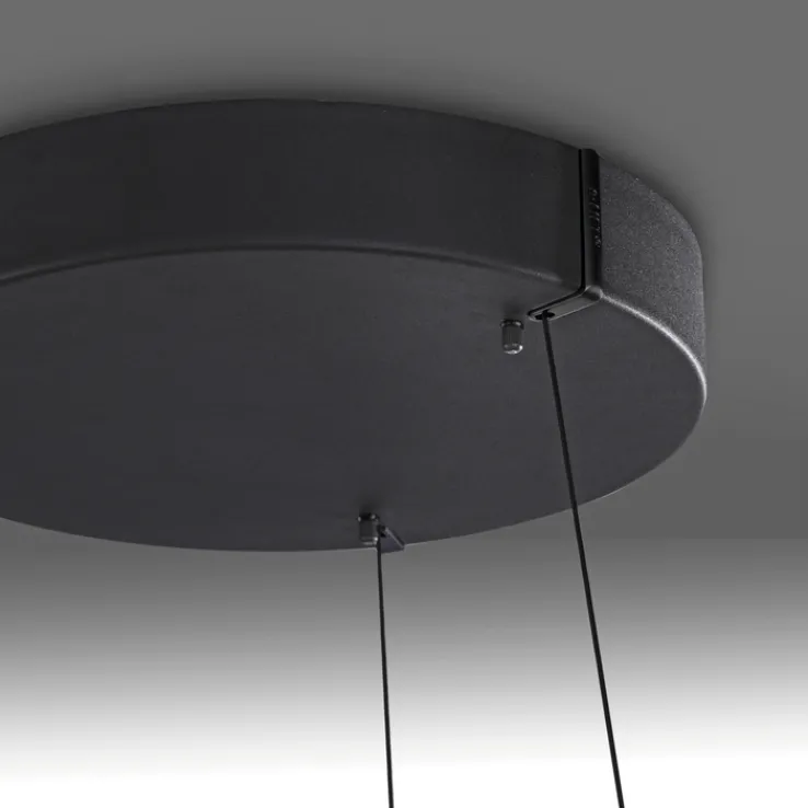 Paul Neuhaus LED Pendelleuchte PURE E-LOOP 70 cm schwarz