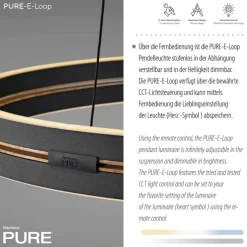 Paul Neuhaus LED Pendelleuchte PURE E-LOOP 70 cm schwarz