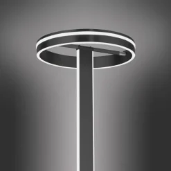 Paul Neuhaus LED Stehlampe Q-VITO anthrazit