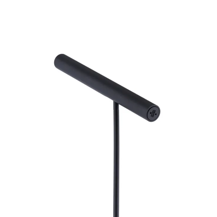 Paul Neuhaus LED Stehlampe PURE-TUTUA schwarz