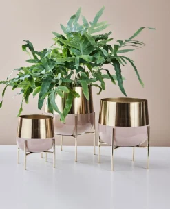 Pflanzenständer 3er-Set goldfarbig /rosé