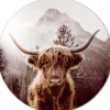 PRO ART Alu-Art Bild SCOTTISH HIGHLAND CATTLE 100 cm