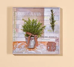 PRO ART Basic cellophaniert Bild SWEET HERBS I ROSMARIN 25 x 25 cm mehrfarbig