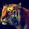 PRO ART Canvas-Art Bild COLOURFUL TIGER 90 x 120 cm mehrfarbig