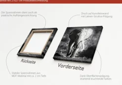 PRO ART Canvas-Art Bild GREY ELEPHANT HEAD 27 x 27 cm schwarz/ weiß