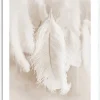 PRO ART Framed-Art Bild THE FEATHER II 33 x 43 cm weiß