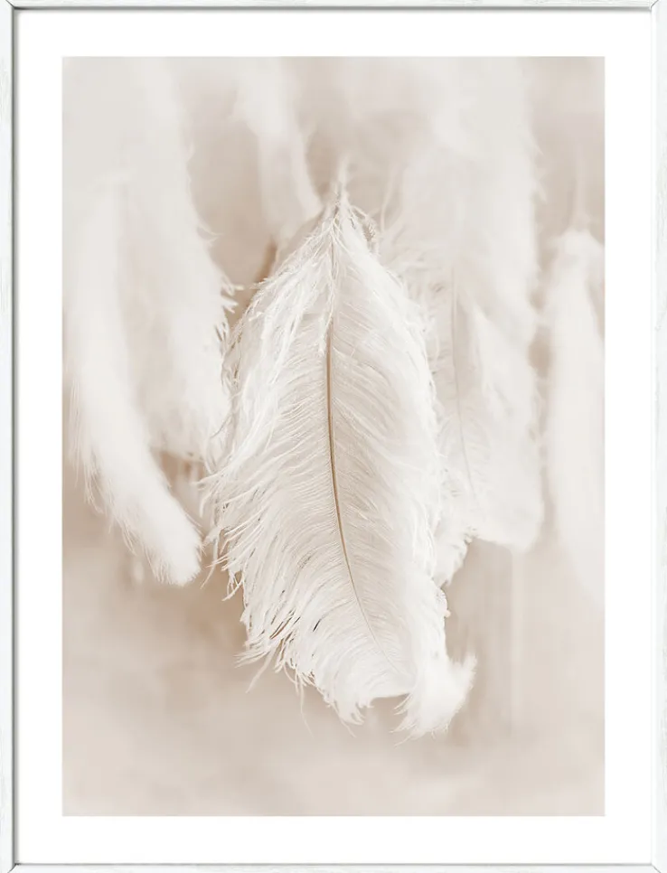 PRO ART Framed-Art Bild THE FEATHER II 33 x 43 cm weiß