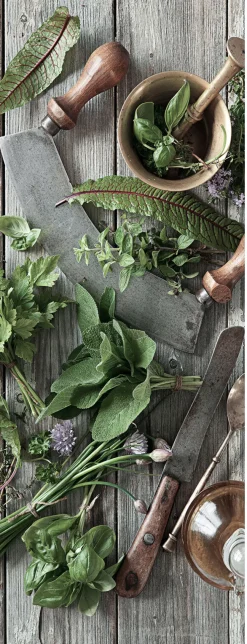 PRO ART Glas-Art Bild HERBAL PREPERATION 30 x 80 cm